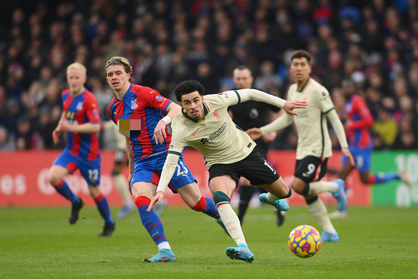 了罗伊格在 了罗伊格在